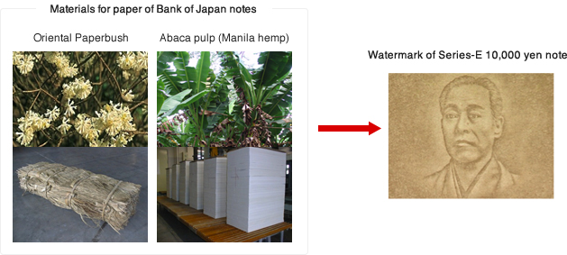 Materials for paper of Bank of Japan notes, Watermark of Series-E 10,000 yen note