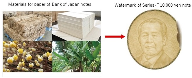 Materials for paper of Bank of Japan notes, Watermark of Series-E 10,000 yen note