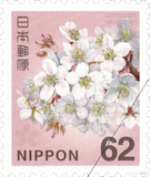 平成29（2017）年