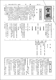 令和の官報第1号の画像