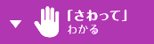 さわってわかるアイコン