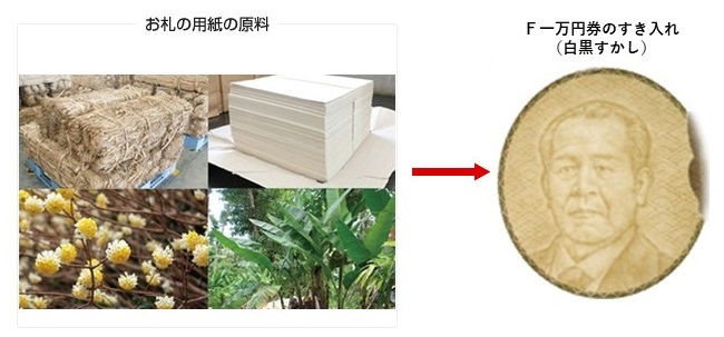 紙イメージ